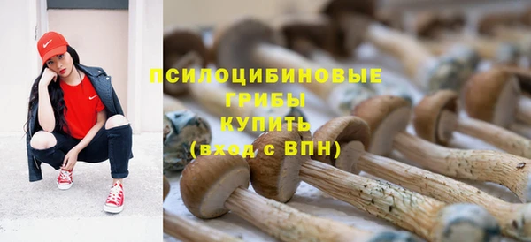 ALPHA-PVP Алексин