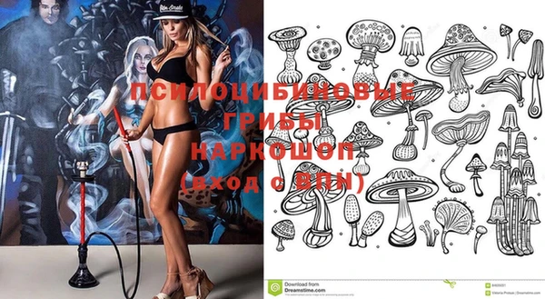 стаф Новый Уренгой