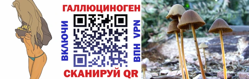 где купить   Новоуральск  Псилоцибиновые грибы ЛСД 
